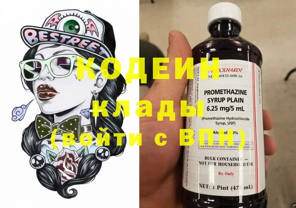 apvp Кодинск