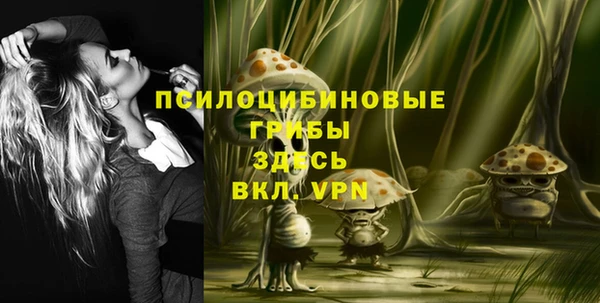 apvp Кодинск