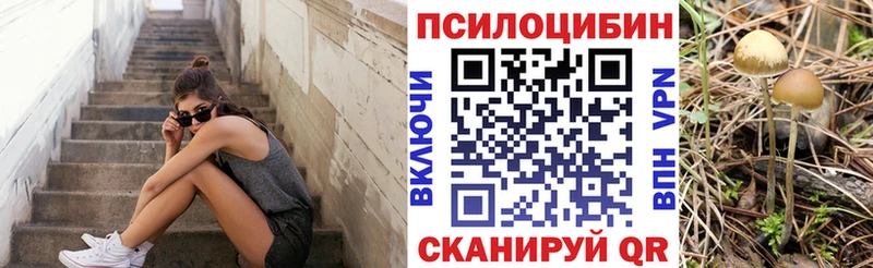 Галлюциногенные грибы Psilocybe  Приволжский 